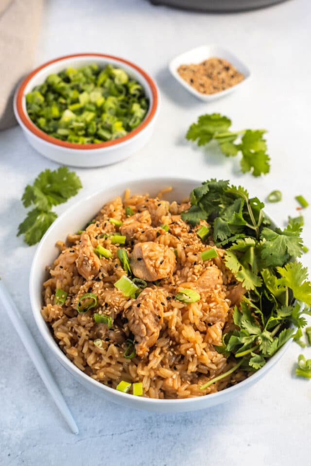 Instant Pot Teriyaki Chicken and Rice · The Typical Mom