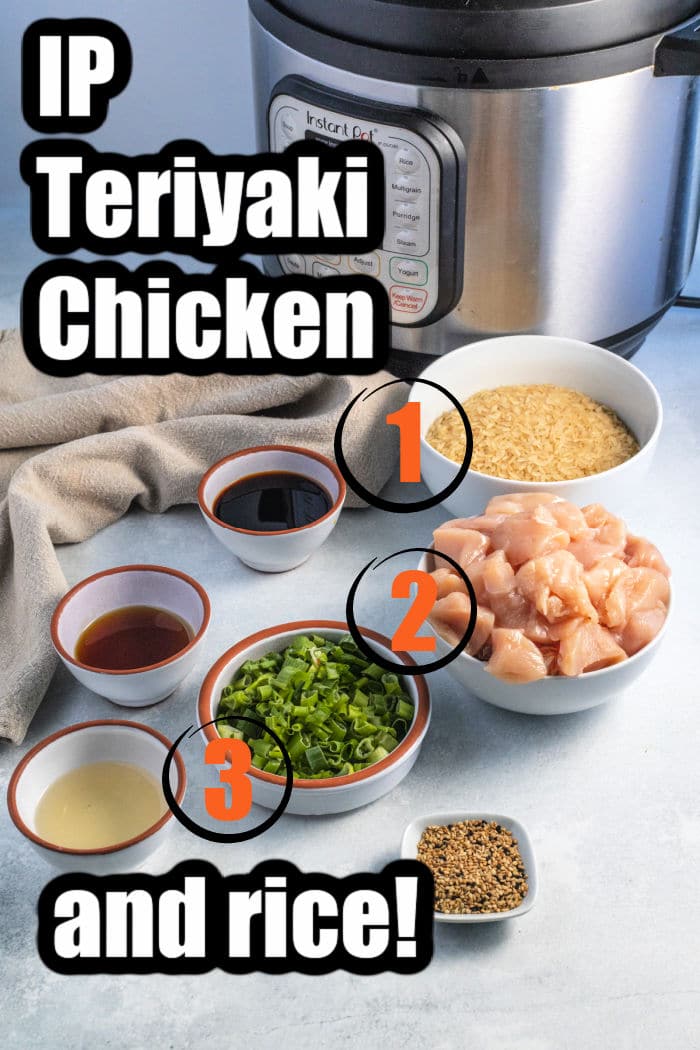 Instant Pot Teriyaki Chicken and Rice – The Typical Mom