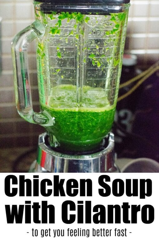 Instant Pot Feel Better Soup Best Soup for a Cold