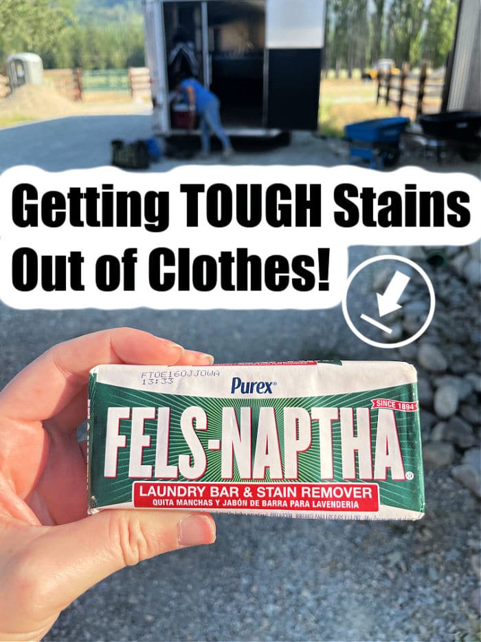 https://temeculablogs.com/wp-content/uploads/2021/07/get-stains-out-of-clothes.jpg