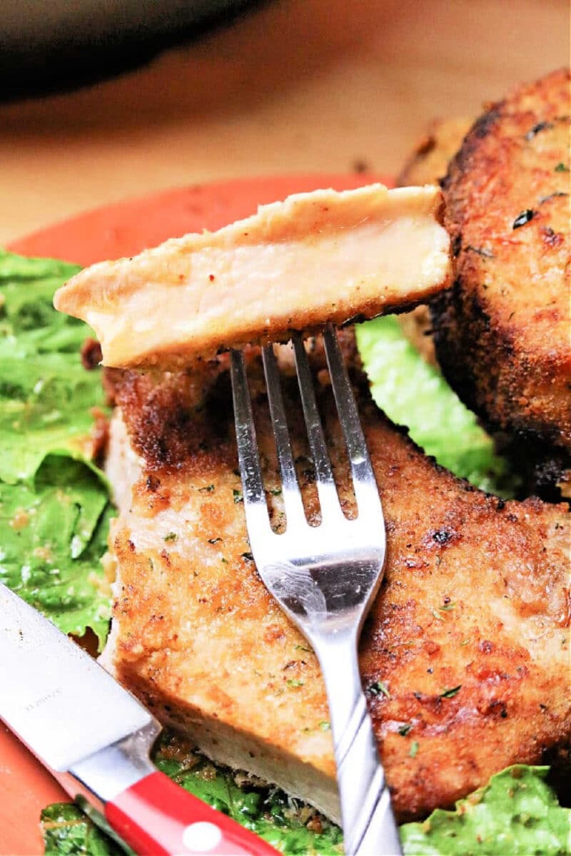 Breaded Pork Chops Air Fryer - Ninja Foodi Shake And Bake Pork