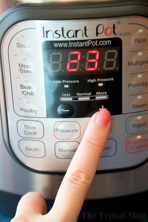 Burn on Instant Pot What to Do + Video Guide