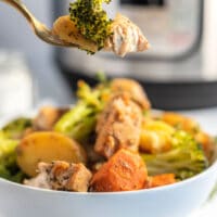 Instant Pot Chicken and Vegetables