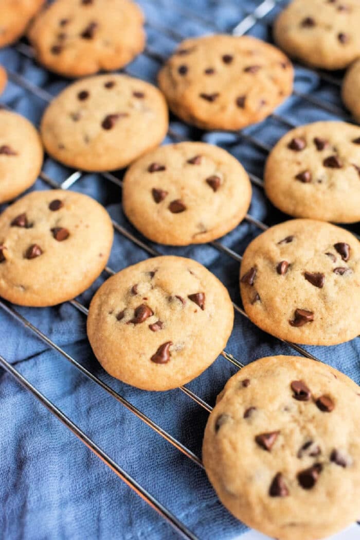 Chocolate Chip Cookie Ingredients