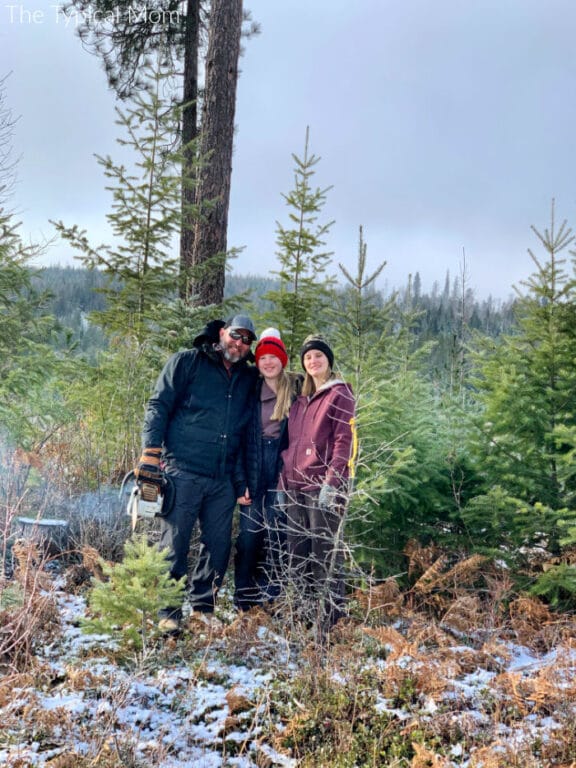 What to do When You Cut Down Your Own Christmas Tree Permit