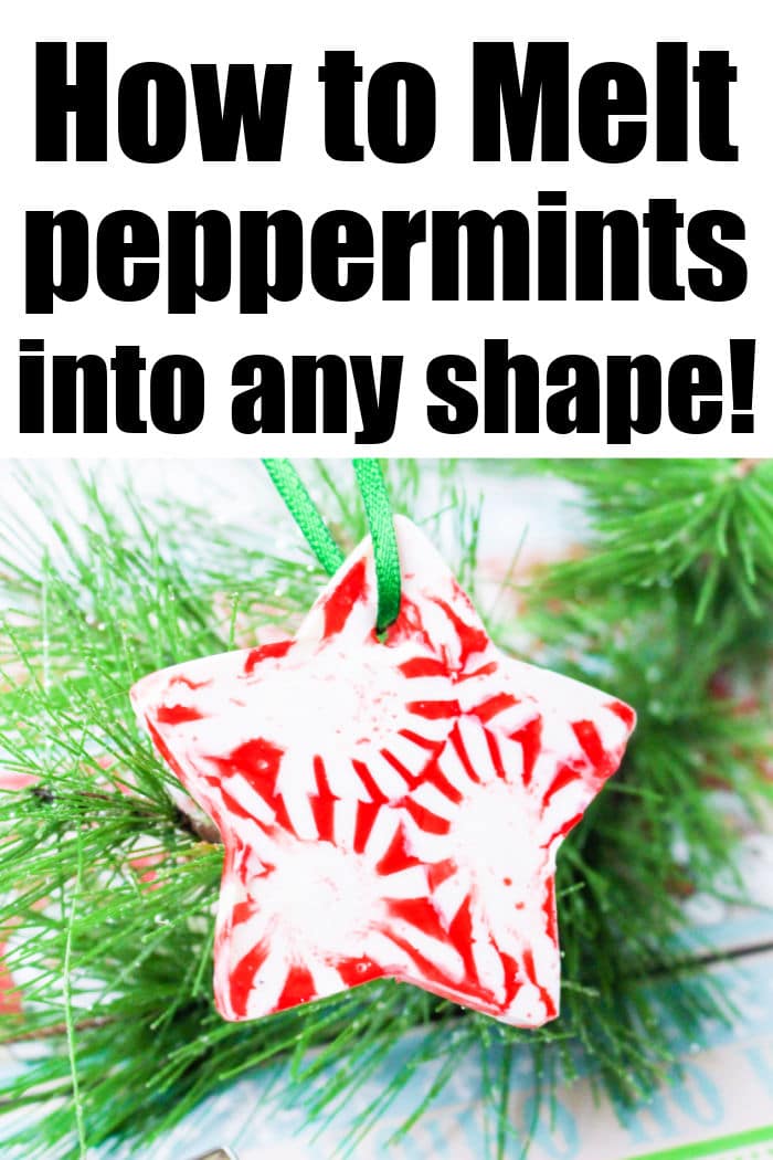 Peppermint Oven Mitt Set