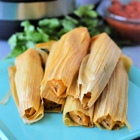 Reheat Steam Tamales in Instant Pot - Ninja Foodi Frozen Tamales