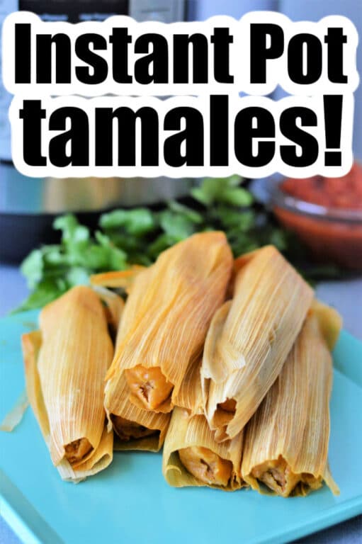 Reheat Steam Tamales in Instant Pot Ninja Foodi Frozen Tamales