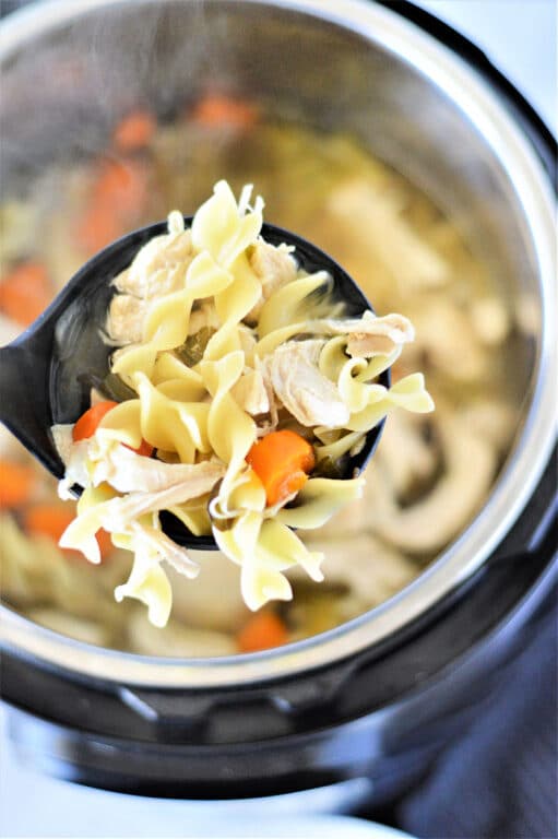 Instant Pot Chicken Noodle Soup with Frozen Chicken Ninja Foodi