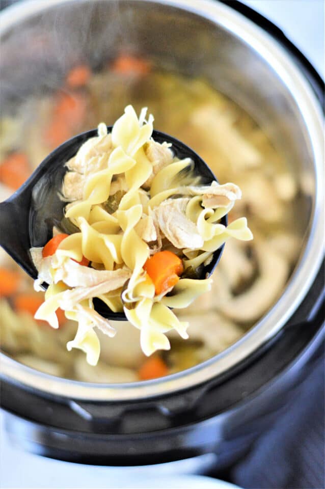 Instant Pot Chicken Noodle Soup with Frozen Chicken Ninja Foodi