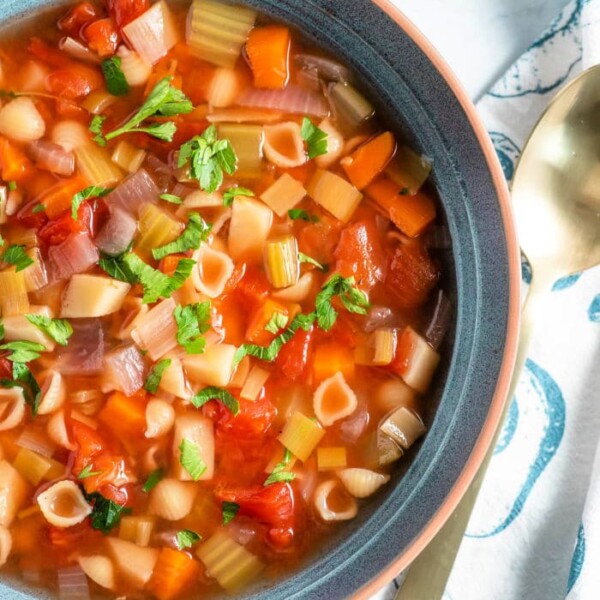 homemade vegetarian soup