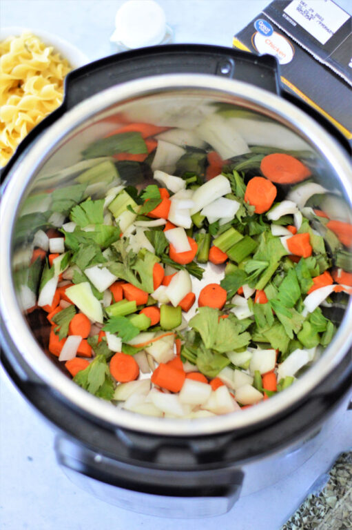 Instant Pot Chicken Noodle Soup with Frozen Chicken Ninja Foodi