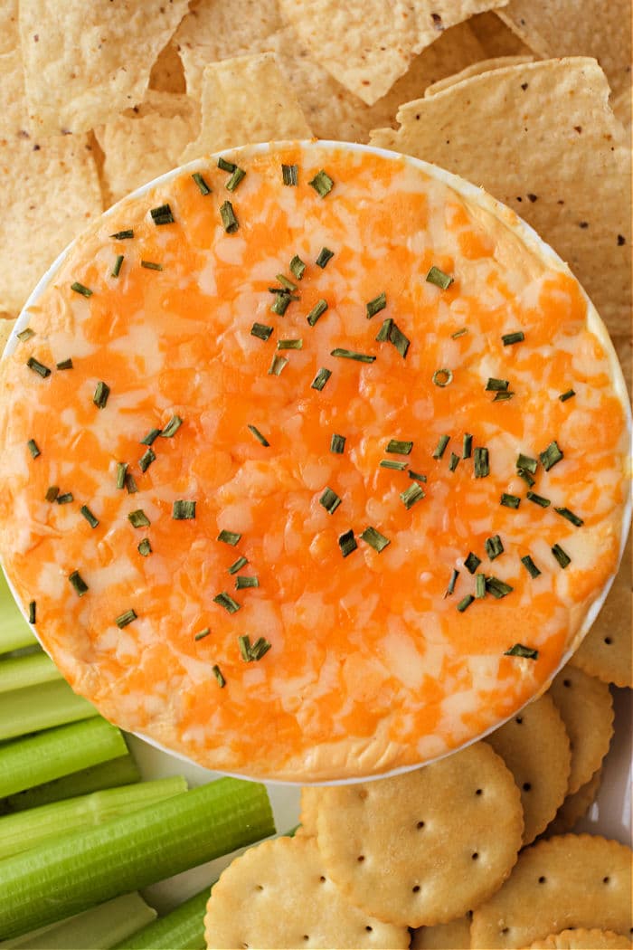 Buffalo Chicken Dip