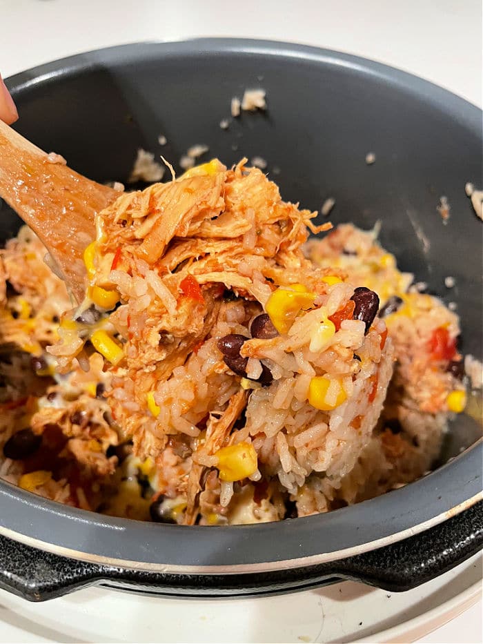 Leftover Chicken Recipes Instant Pot Pressure Cooker