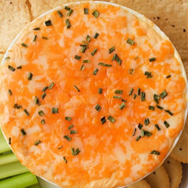 Buffalo Chicken Dip