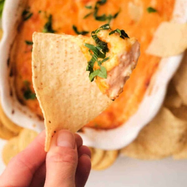 Buffalo-Chicken-Dip-dairy-free