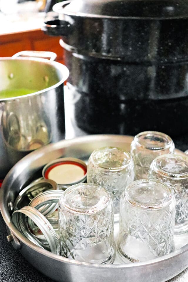 Beginners Guide to How to Can Jam and Other Foods