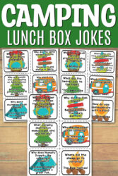 Free Printable Lunch Box Jokes for Kids - 4 Different Sets