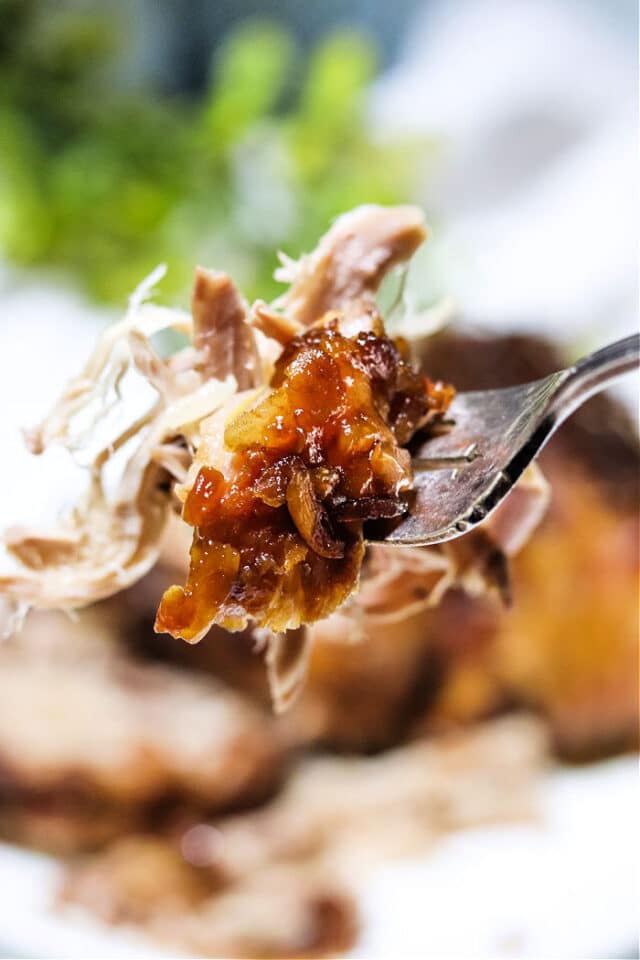 Slow Cooker Pork Roast Onion Soup Mix · The Typical Mom