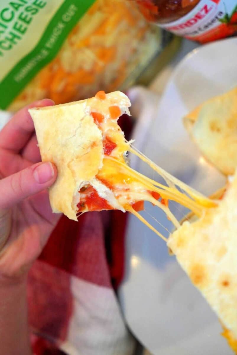 Cheese Air Fryer Quesadilla Chicken Ninja Foodi Quesadilla