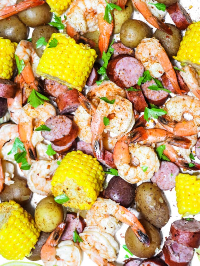 Air Fryer Dinner Recipes Ninja Foodi Dinner Recipes