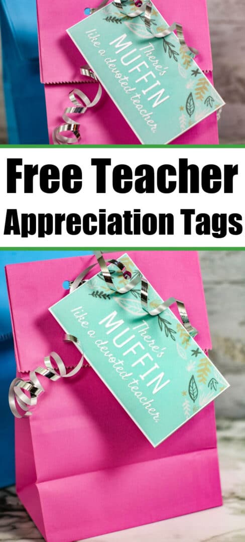 8 Free Printable Teacher Appreciation Tags