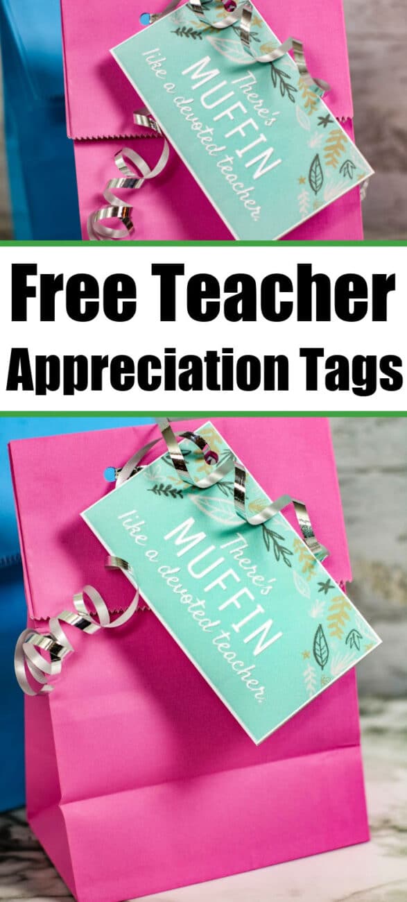 8 Free Printable Teacher Appreciation Tags