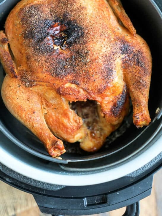 The BEST Ninja Foodi Recipes for Your Air Fryer and Pressure Cooker