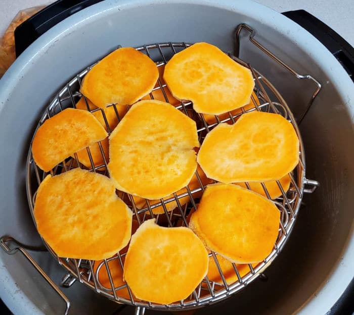 https://temeculablogs.com/wp-content/uploads/2022/02/sweet-potato-chips-for-dogs.jpg