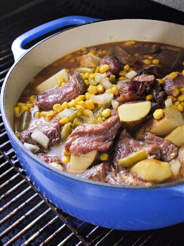 Best Beef Dutch Oven Stew · The Typical Mom 9885