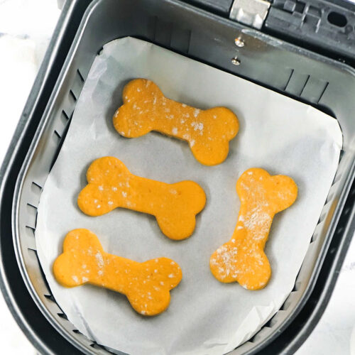 Air Fryer Dog Treats Peanut Butter Ninja Foodi Dog Treats