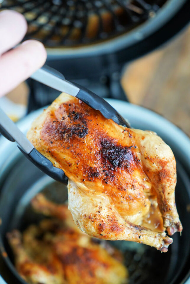 Ninja Foodi Cornish Hen Recipe Instant Pot Cornish Game Hens