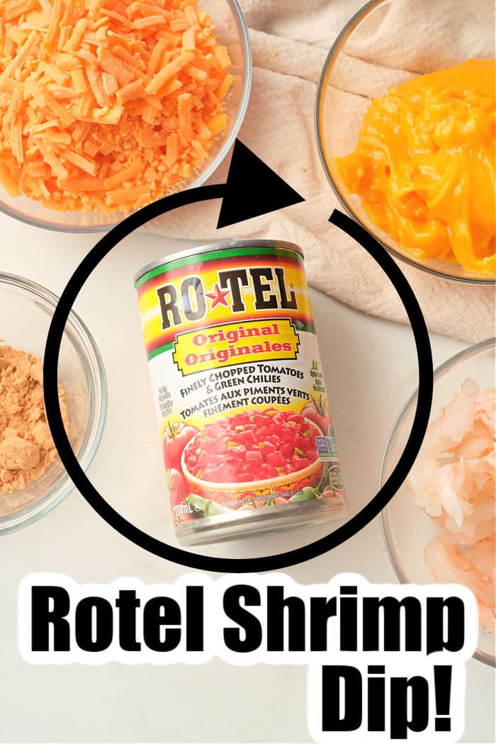 how to make shrimp rotel dip with ground beef