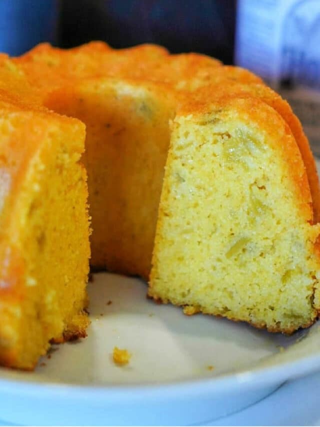 The BEST Ninja Foodi Recipes for Your Air Fryer and Pressure Cooker