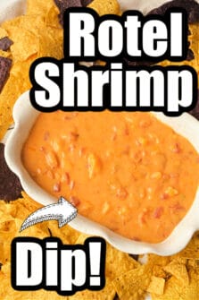 Cheesy Shrimp Rotel Dip Recipe · The Typical Mom