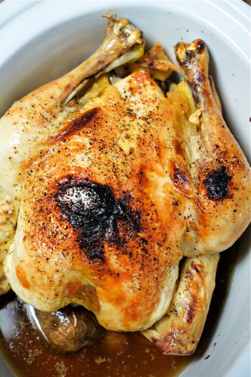 Frozen Whole Chicken in Crockpot · The Typical Mom