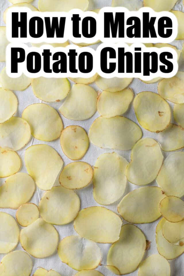Homemade Russet Potato Chips Ninja Foodi Air Fryer Chips