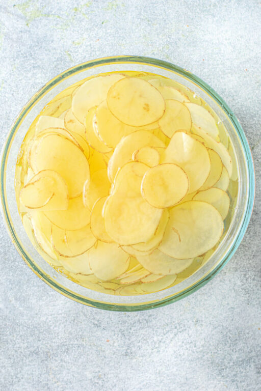 Homemade Russet Potato Chips Ninja Foodi Air Fryer Chips