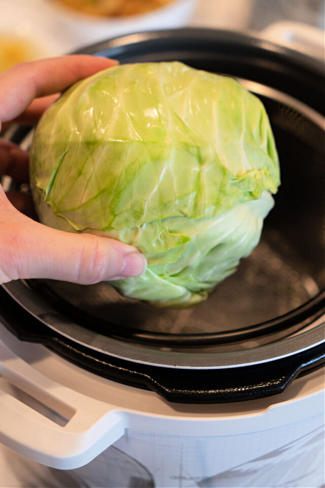 How to Cook a Whole Cabbage Pressure Cooker Whole Cabbage Recipe