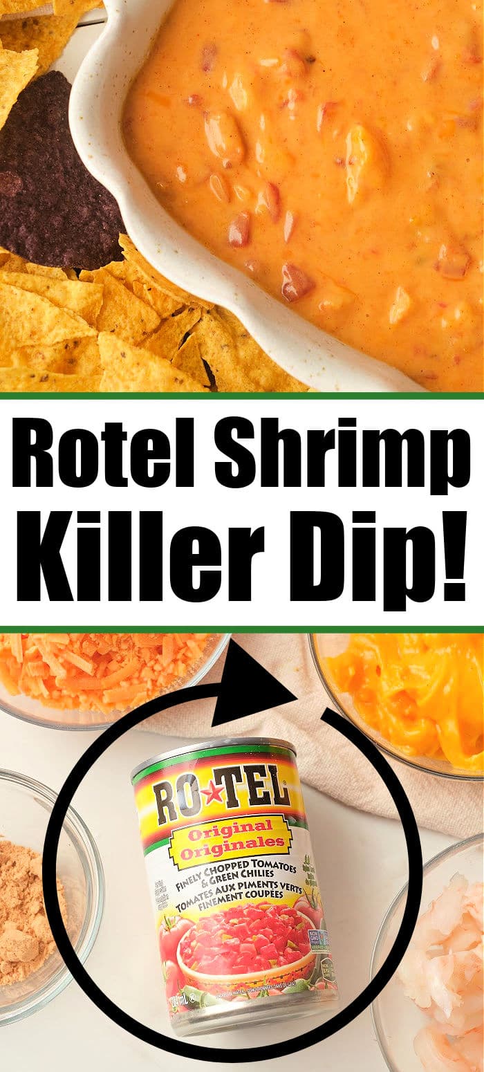 Cheesy Shrimp Rotel Dip Recipe · The Typical Mom