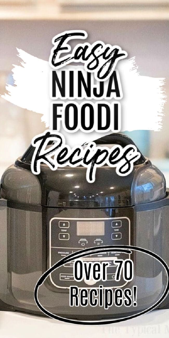 72+ Easy Ninja Foodi Recipes + Instructions on How to Use the Foodi