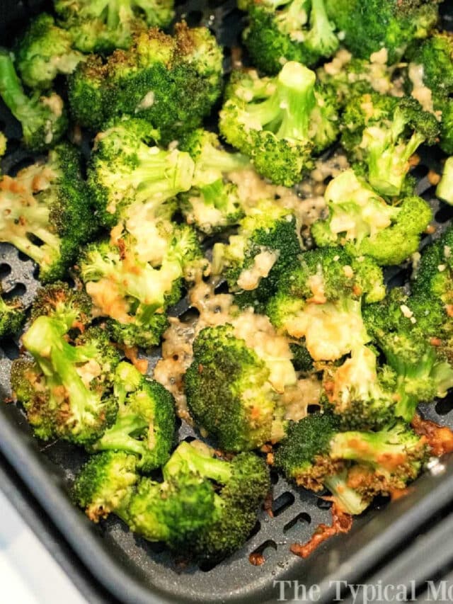 The BEST Ninja Foodi Recipes for Your Air Fryer and Pressure Cooker