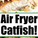 air-fryer-catfish