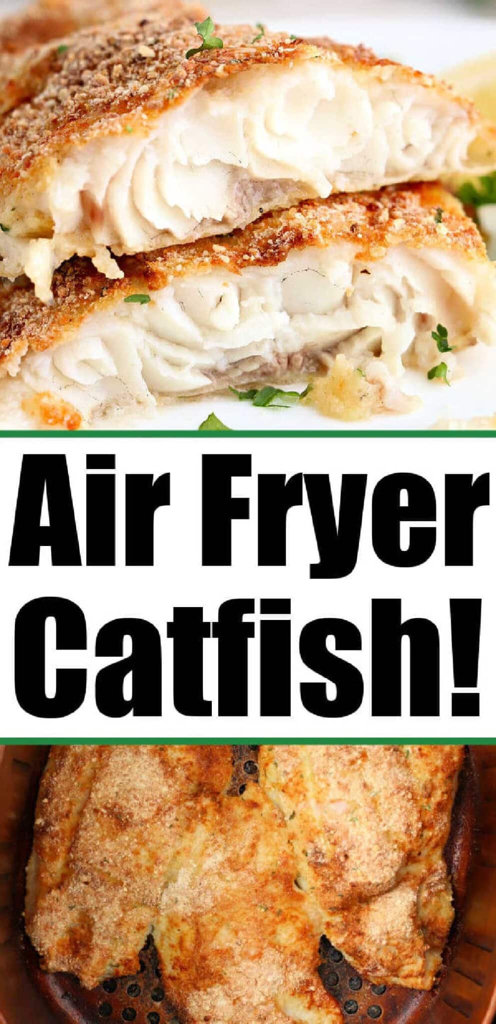 Air Fryer Catfish Frozen or Fresh How to Cook Ninja Foodi Catfish
