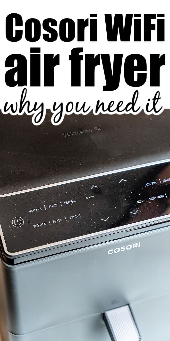 Dual Blaze Cosori Wifi Air Fryer Review - Cosori WiFi Review