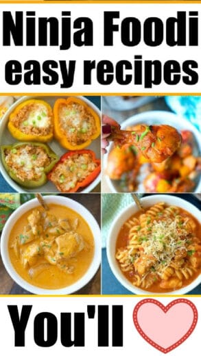 72+ Easy Ninja Foodi Recipes + How To Use The Foodi