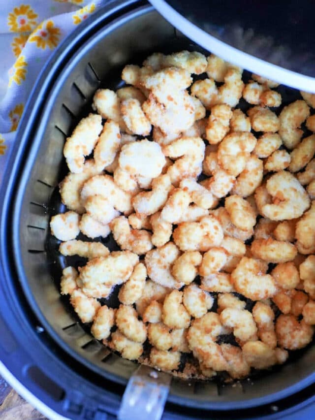 How to Cook Air Fryer Mahi Mahi Ninja Foodi Mahi Mahi Fish