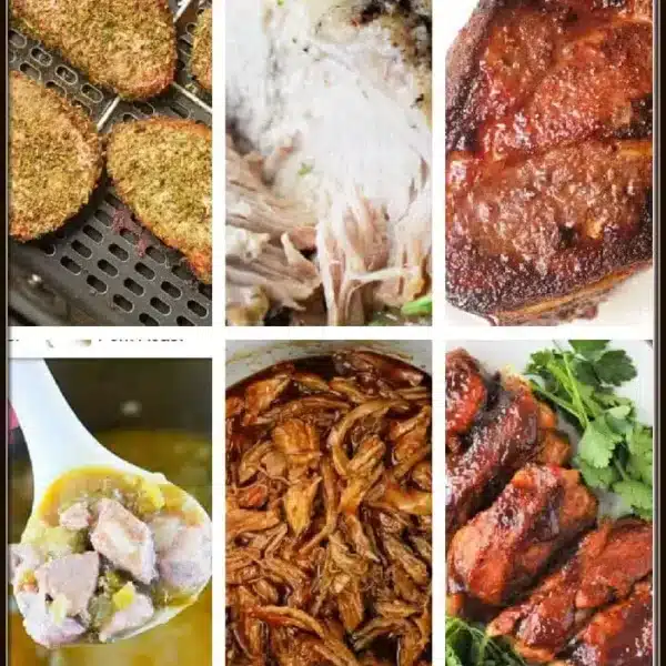 A collage of six images showcases Ninja Foodi pork recipes: seasoned bread slices, sliced white meat with sauce, glazed meat with crispy skin, a savory meat stew in a bowl, shredded pork in sauce, and sliced meat garnished with herbs.