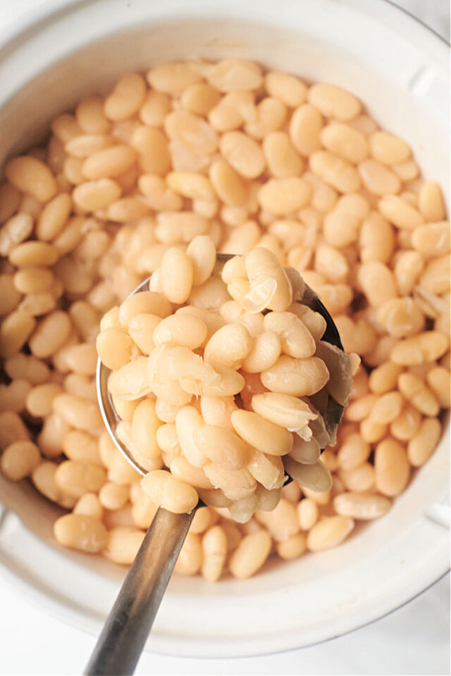 canned-great-northern-beans