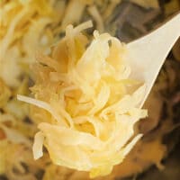 Quick Sauerkraut Recipe